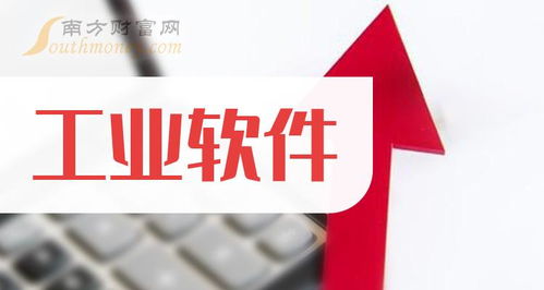 2024年工業(yè)軟件龍頭與軟件外包服務(wù) 機(jī)遇與挑戰(zhàn)并存